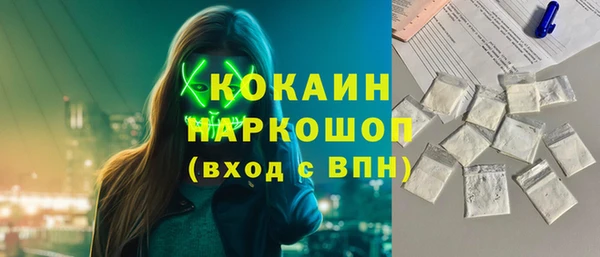 хмурый Арсеньев