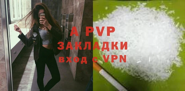 хмурый Арсеньев