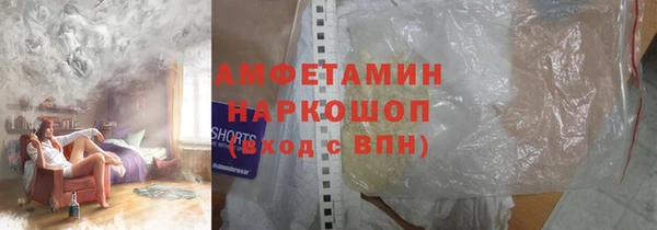 хмурый Арсеньев