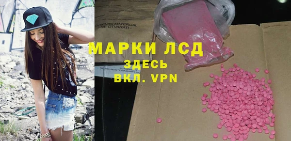 хмурый Арсеньев