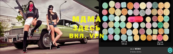 хмурый Арсеньев