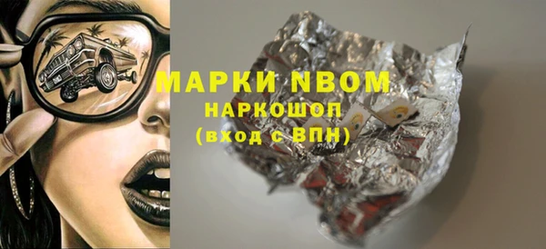 хмурый Арсеньев