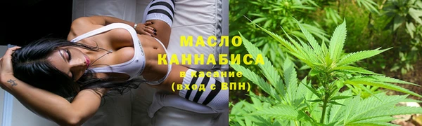 хмурый Арсеньев